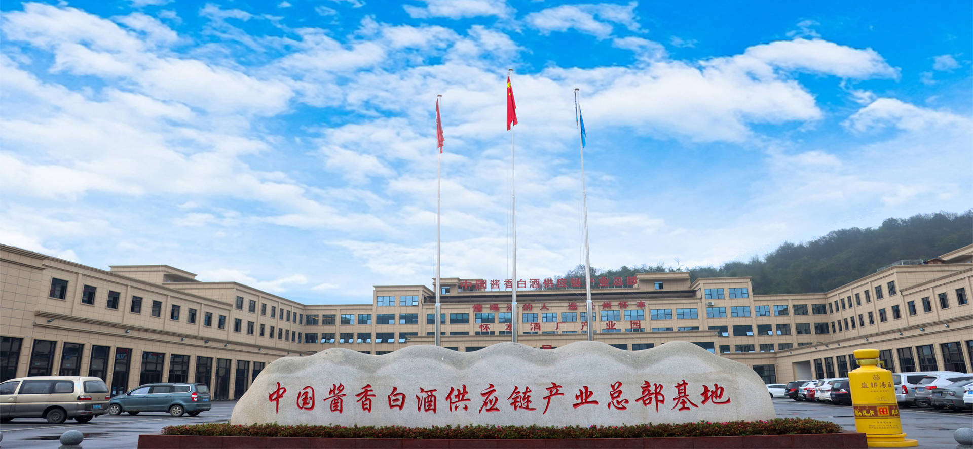 公司动态